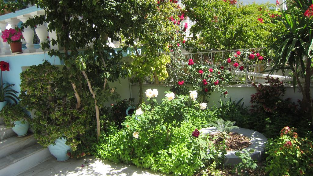 Sandalis Hotel Πυθαγόρειο Εξωτερικό φωτογραφία